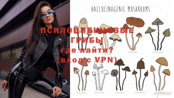 героин Ладушкин