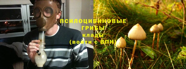 гидропоника Лагань