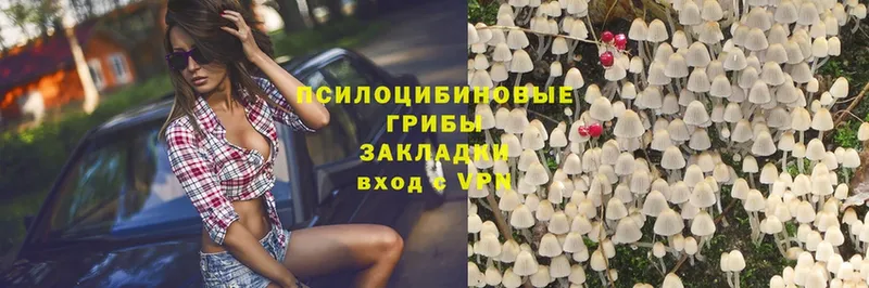 Псилоцибиновые грибы Magic Shrooms  Воронеж 