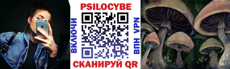 гидра ССЫЛКА  закладка  Воронеж  Псилоцибиновые грибы прущие грибы 